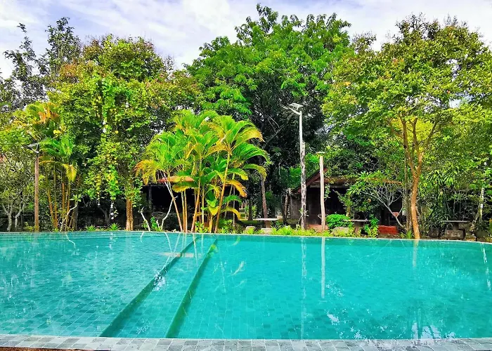 Palm Village &