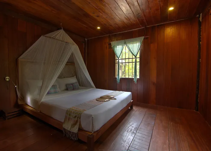 Palm Village & 4*