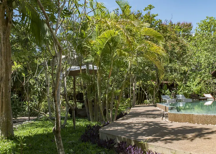 Palm Village & Resort