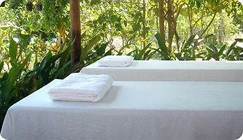 Palm Village &